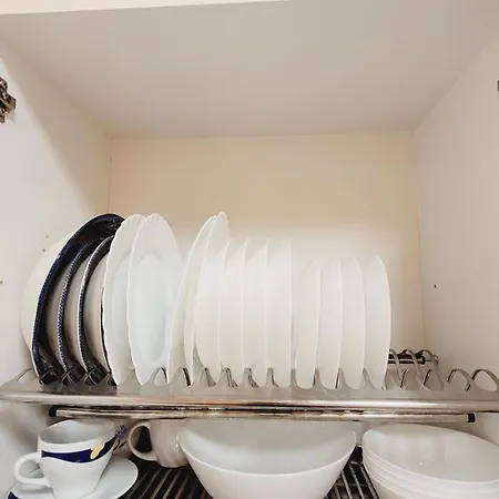 Romantic Spirit In * ريغا