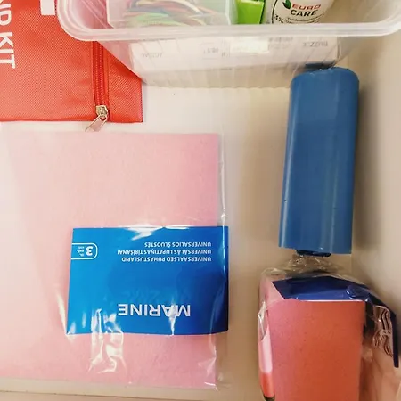 Romantic Spirit In *